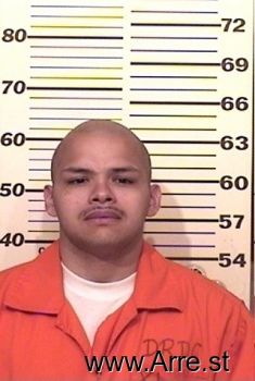 Fernando  Ayalasantiago Mugshot