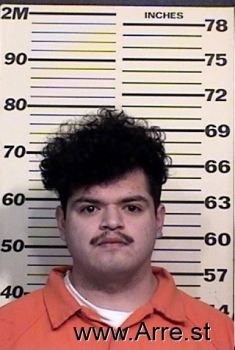 Fernando  Saldanamosqueda Mugshot