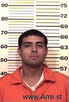 Gage L Elizondo Mugshot