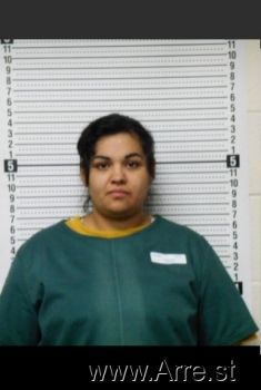 Gidget R Sanchez Mugshot