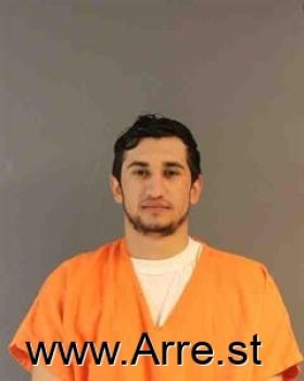 Gustavo  Almanza Pena Mugshot