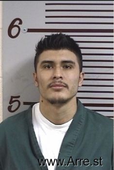 Jesus A Lizarragavenegas Mugshot