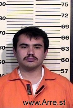 Jose C Ayaquicacasco Mugshot