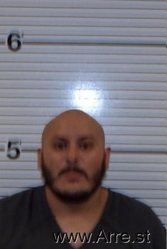 Jose  Trejovillareal Mugshot