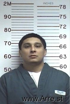 Julian  Gonzales-sanchez Mugshot