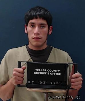 Javier  Navarrete-hernandez Mugshot