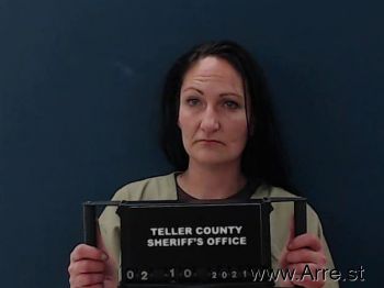 Julie Ann Myers-johns Mugshot