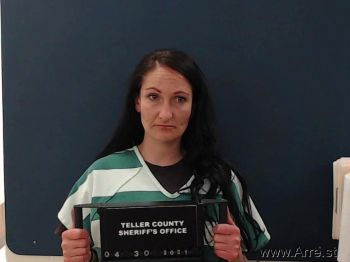 Julie Ann Myers-johns Mugshot