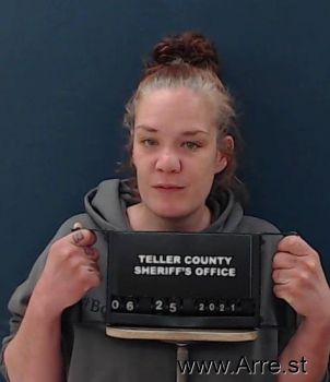 Julie Ann Porkka Mugshot