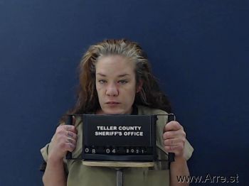 Julie Ann Porkka Mugshot