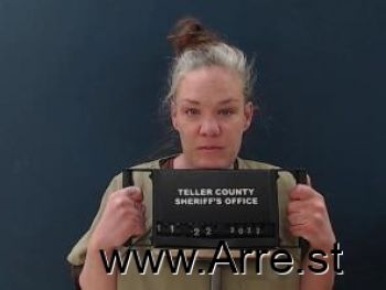 Julie Ann Porkka Mugshot