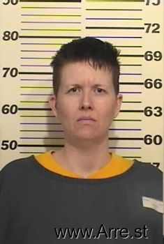 Kristi  Howard Mugshot