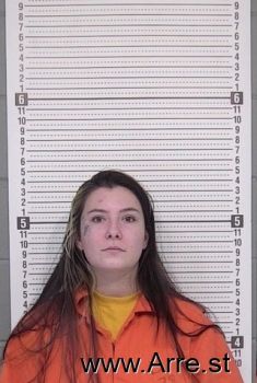 Lacey M Welch Mugshot