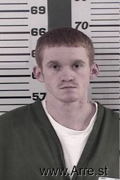 Levi  Souther Mugshot