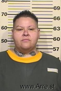 Lisa  Padilla Mugshot