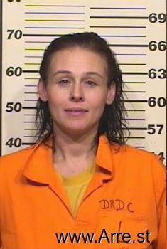 Lisa R Williams Mugshot