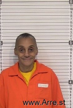 Lisa L Williams Mugshot