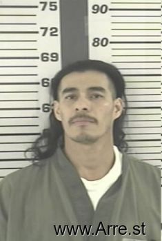 Luis G Ibarrasanchez Mugshot