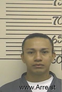 Luis M Ochoanieves Mugshot