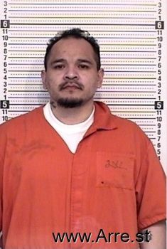 Luis E Padilla-alcala Mugshot