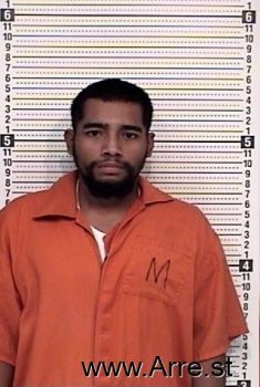 Luis D Reyes-zuniga Mugshot