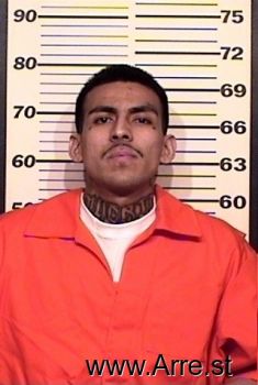 Luis O Rosales Mugshot