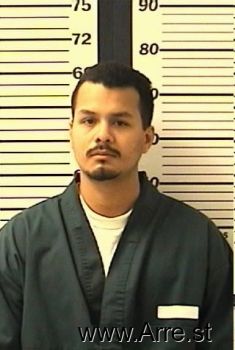 Lynn D Martinez Mugshot