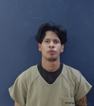 Luis Andres Ortega Mugshot