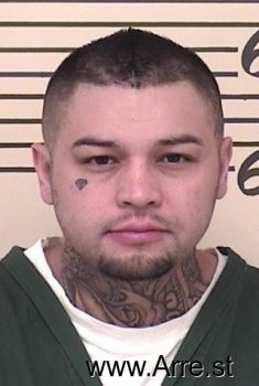 Mario A Ortega Mugshot