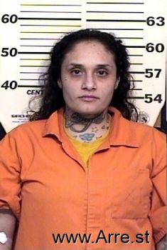 Marisol O Villagrana Mugshot