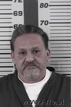 Martin  Flores Mugshot