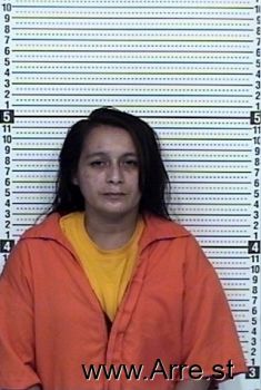 Mary J Garcia Mugshot