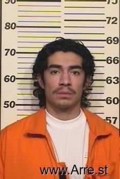 Matthew E Silva Mugshot