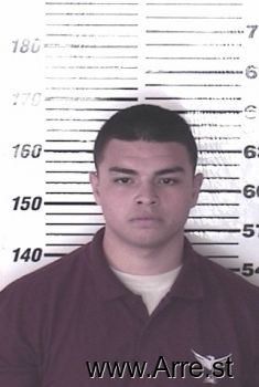 Max J Martinez Mugshot