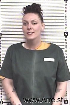 Megan M Holcomb Mugshot