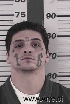 Michael S Arrington Mugshot