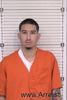 Michael  Gonzalez Mugshot