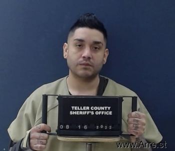 Mario Ernesto Mejia-melgar Mugshot