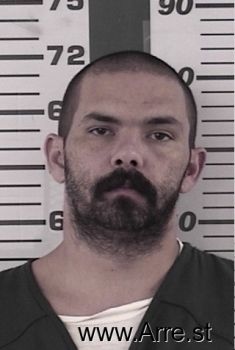 Nicholas J Davis Mugshot