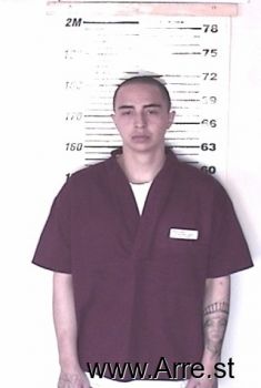 Noah D Brees Mugshot