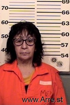 Paula  Walker Mugshot