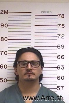 Pedro S Gama Mugshot