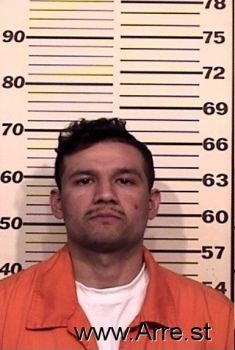 Pedro  Gonzalez Mugshot