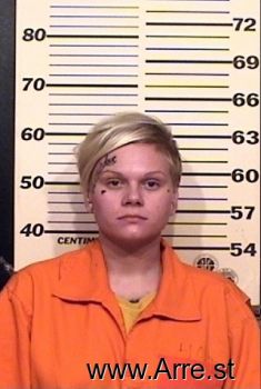 Randi L Elliott Mugshot