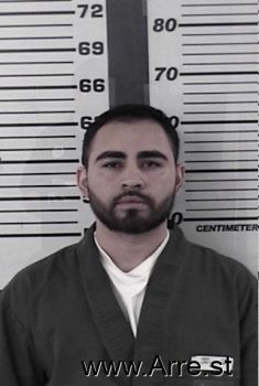 Raul A Lopez-lizarraga Mugshot