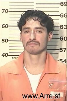 Raul J Martinez Mugshot