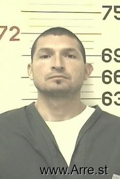 Rene  Flores Mugshot