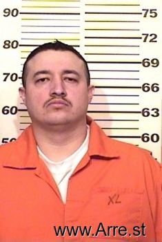 Ricardo A Dominguez Mugshot