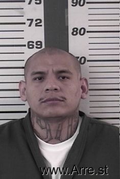 Ricardo  Gonzalezmartinez Mugshot