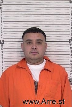 Rodolfo  Villegas-galindo Mugshot